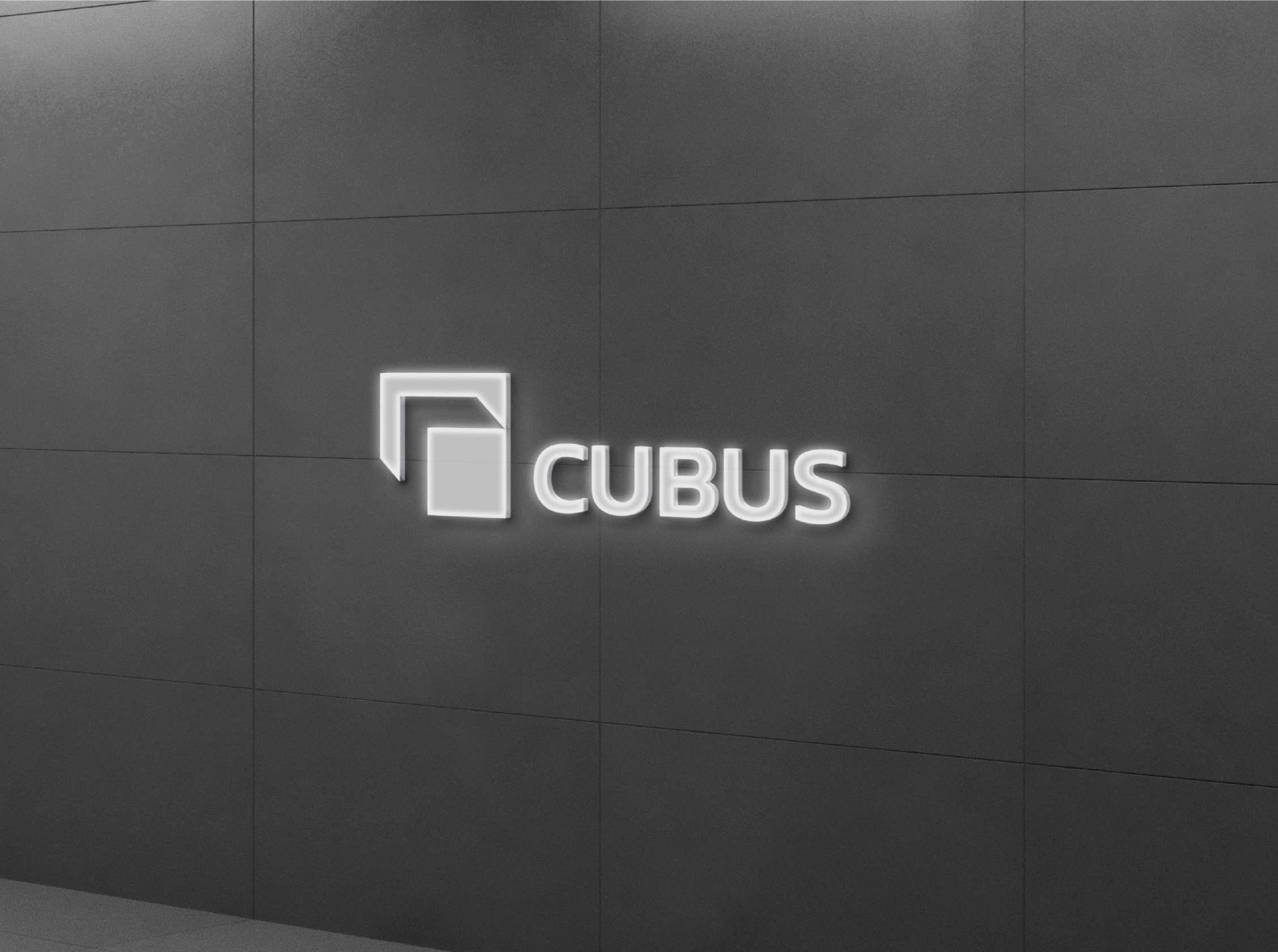 cubus_Mesa-de-trabajo-1-copia-15